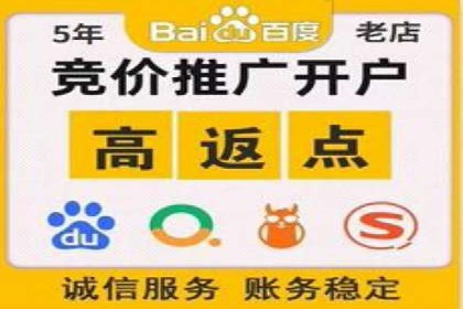 百度广告投放技巧与案例分享